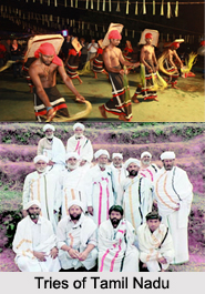Tribes of Tamil Nadu