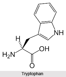 Importance of Amino Acids in Naturopathy