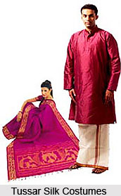 Tussar Silks