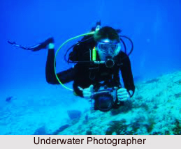 Underwater Photography  in India