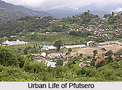 Pfutsero, Phek District, Nagaland