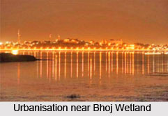 Bhoj Wetland, Bhopal, Madhya Pradesh