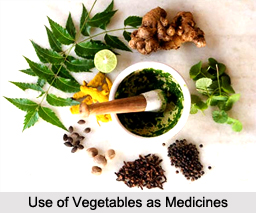 Use of Vegetables or Plants as Medicines