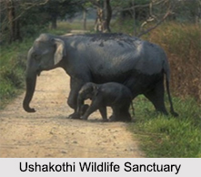 Wildlife Sanctuaries of Odisha