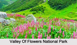 Valley Of Flowers National Park,Uttarakhand