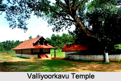 Tourism in Wayanad District