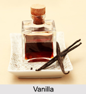 Vanilla, Types of Spice