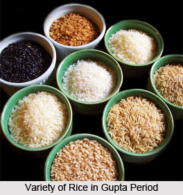 Food in Gupta Period, Food in Ancient India