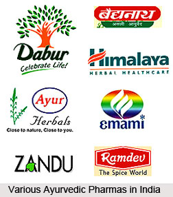 Ayurvedic Pharmas in India