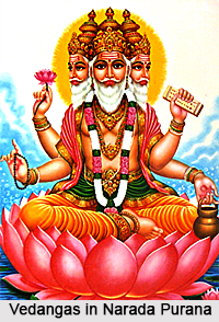 Vedangas in Narada Purana