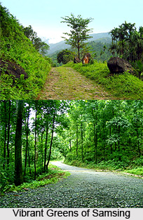 Samsing, Jalpaiguri District, West Bengal