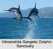 Wildlife Sanctuaries of Eastern India