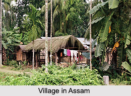 Villages of Assam, Indian Village