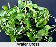 Importance of Minerals in Naturopathy