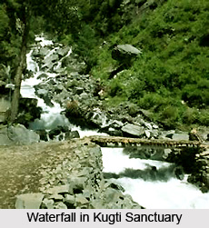 Kugti Wildlife Sanctuary, Chamba District, Himachal Pradesh