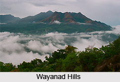 Wayanad, Indian Hill Station
