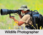 Photography as a career in India, Indian Photography