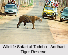 Tourism in Chandrapur District, Maharashtra