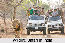 Nature Tourism in India