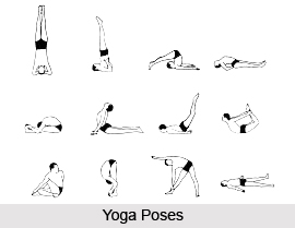 Impact of Yoga Asanas on Human Body System, Yoga Postures