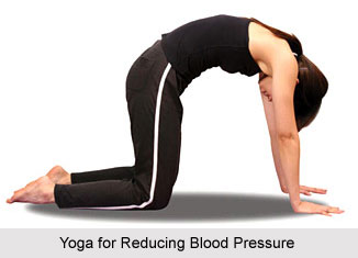 Yoga for Blood Pressure, Yoga and Health