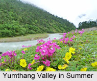 Yumthang Valley, Sikkim