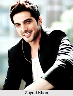 Zayed Khan, Indian Actor