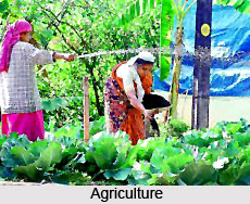 Economy of  Idukki District , Kerala