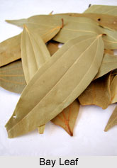 Ayurvedic Spices
