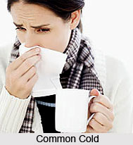 Common Cold