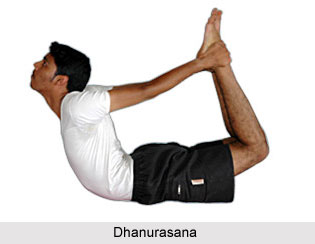Yoga for Reducing Fat, Yoga and Health