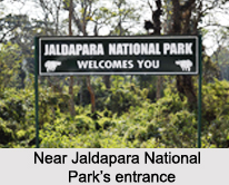 Jaldapara Wildlife Sanctuary, Jalpaiguri District, West Bengal
