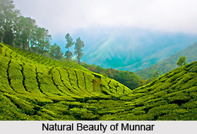 Tourist Places Around Kerala