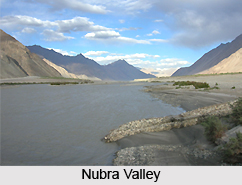 Nature Tours in Ladakh