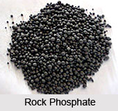 Indian Phosphorite Mines