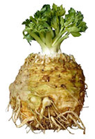 Celeriac