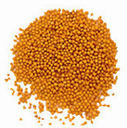 Yellow Mustard