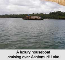 Ashtamudi Lake