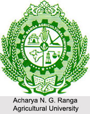 Universities of Andhra Pradesh, Indian Universities