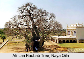Naya Qila, Golconda Fort, Hyderabad