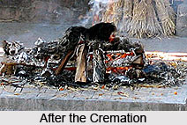Cremation