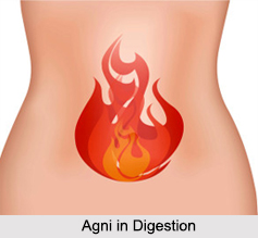 Fire in Ayurveda, Panchabhuta