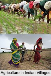 Indian Villages