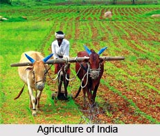 Agricultural Developments in British India