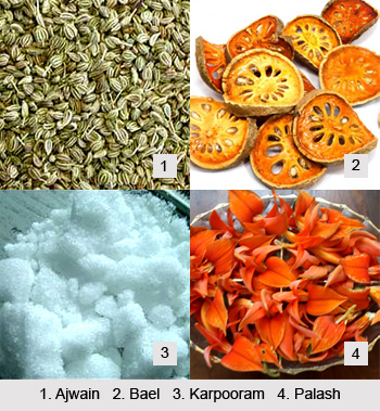 Treatment of Intestinal Worms