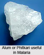 Natural Remedy for Malaria, Naturopathy