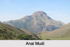 Mountain Peaks of South India