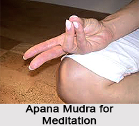 Apan Mudra