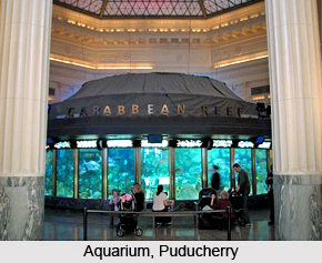 Botanical Garden and Aquarium, Puducherry