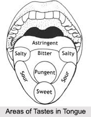 Tastes in Ayurveda